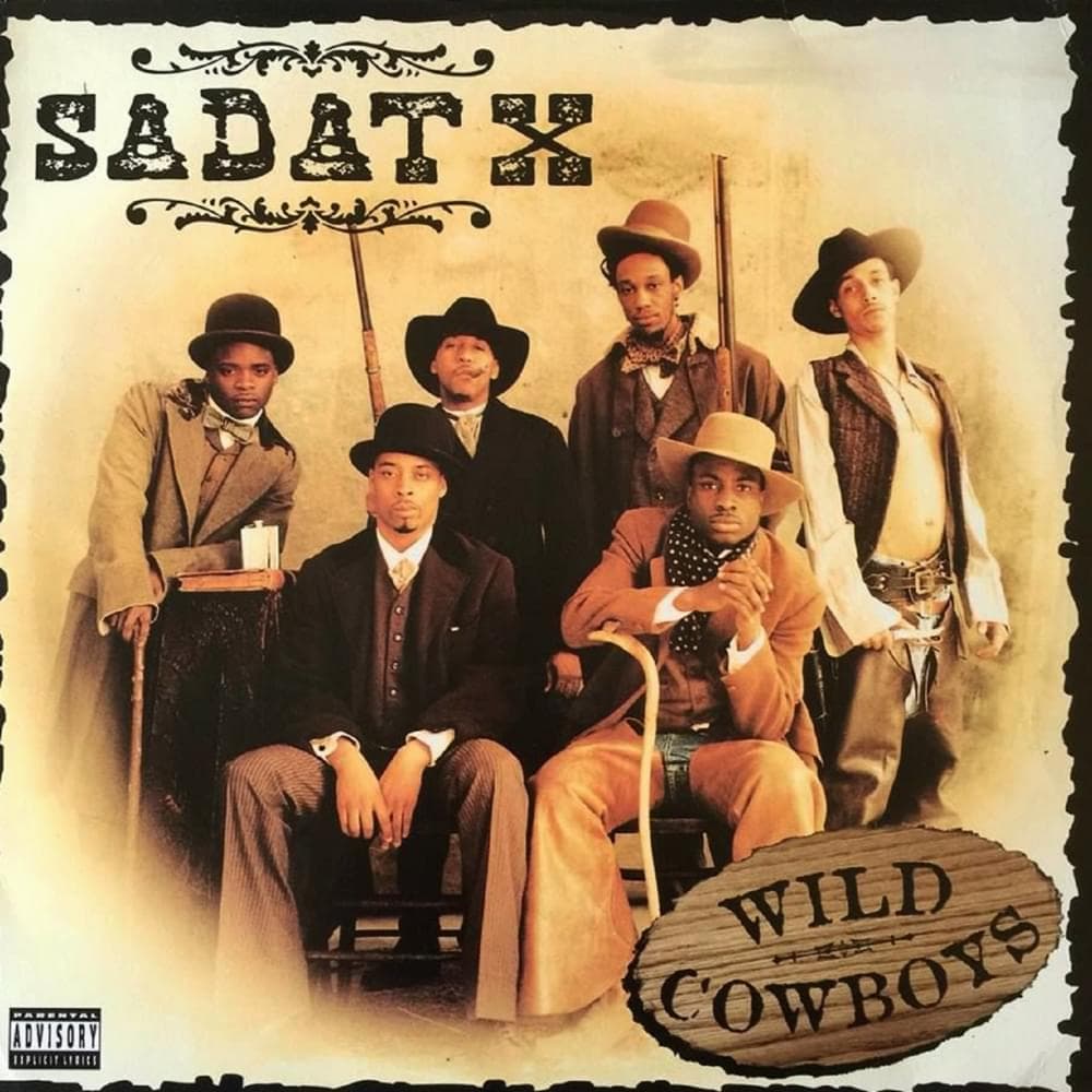 Wild Cowboys