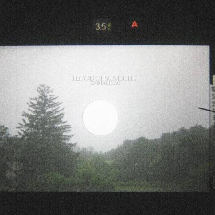 Flood of Sunlight
